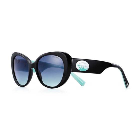 Tiffany & Co.® Sunglasses 2023 - Tiffany & Co. Authorized Dealer |  coolframes.com