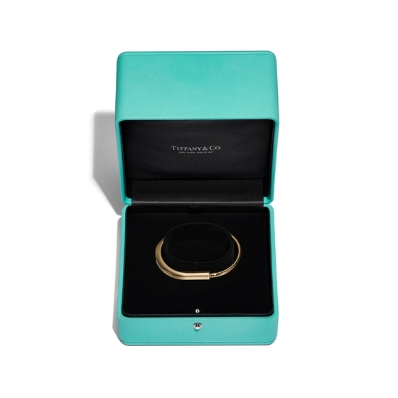 7 Must Have Bracelets This Season 2021: Tiffany, Bvlgari, Hermes | Tatler  Asia