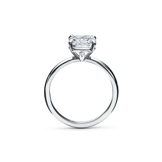 Pin by Yolanda020🇪🇸 on Tiffany & Co. | Tiffany engagement ring, Tiffany  engagement, Tiffany rings