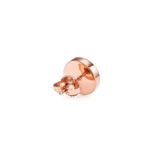 Mother-of-pearl Circle Earrings