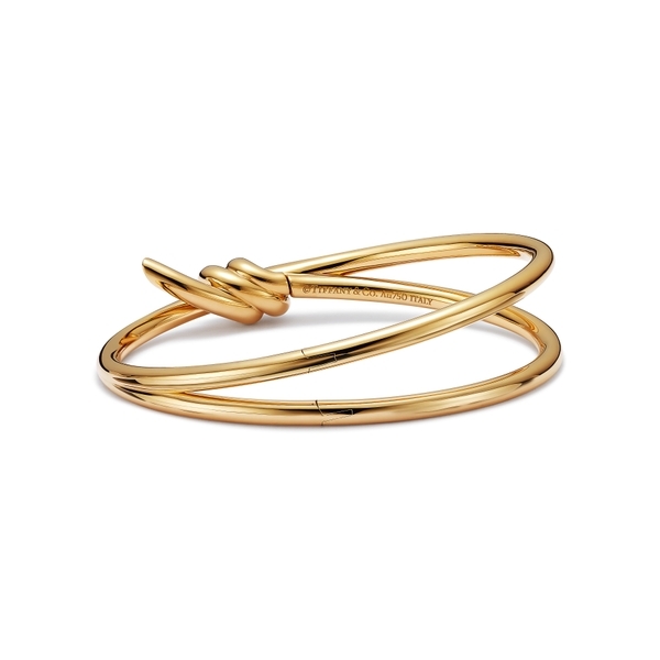 Double Row Hinged Bangle in Yellow Gold