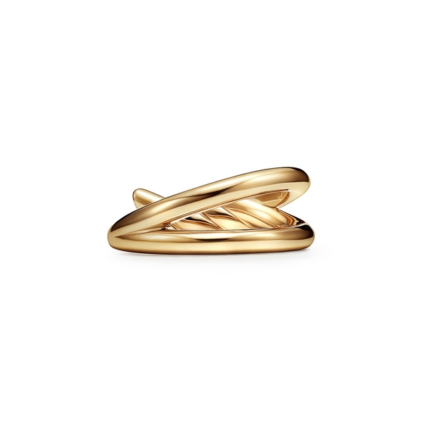 Double Row Ring in Yellow Gold