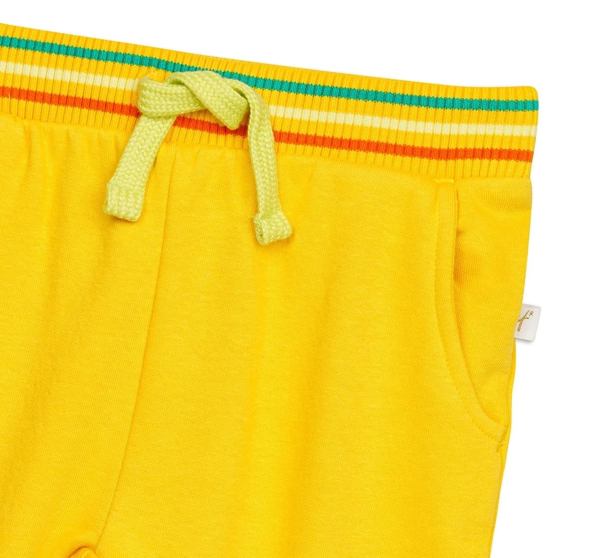 H by Hamleys Boys  Joggers -Pack of 1-Yellow