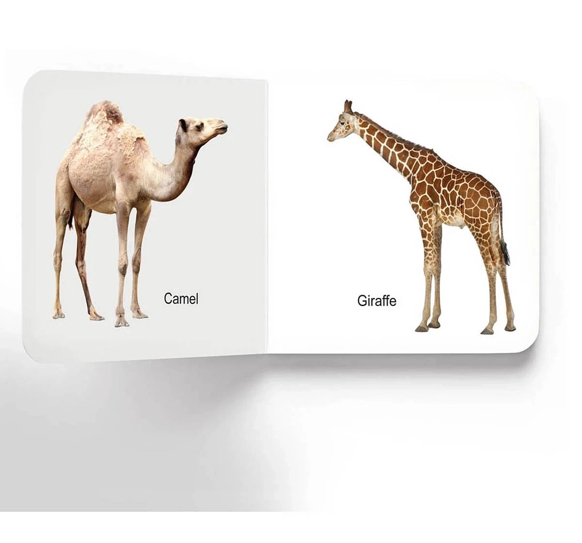 Dreamland Lovely Animals Early Learning Board Book for kids 0M+, Multicolour
