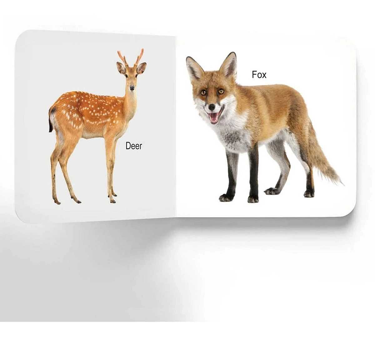 Dreamland Lovely Animals Early Learning Board Book for kids 0M+, Multicolour