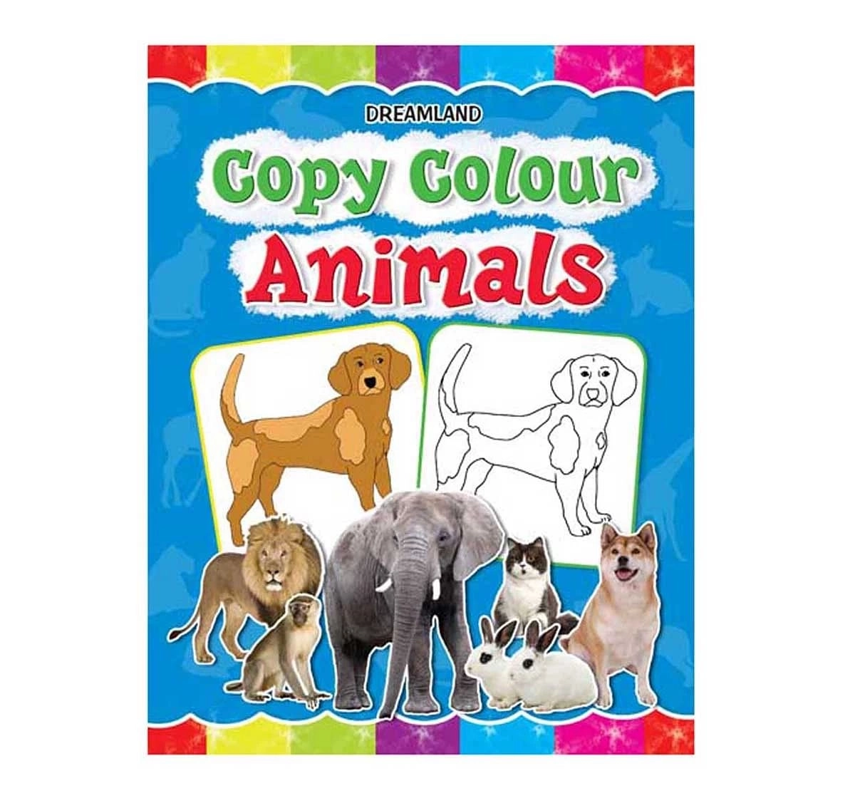 Dreamland Paper Back Colour Animals Drawing Book for kids 3Y+, Multicolour