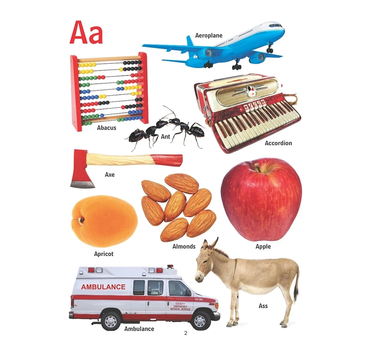 Dreamland Paper Back First Pictorial Dictionary Early Learning Book for kids 2Y+, Multicolour