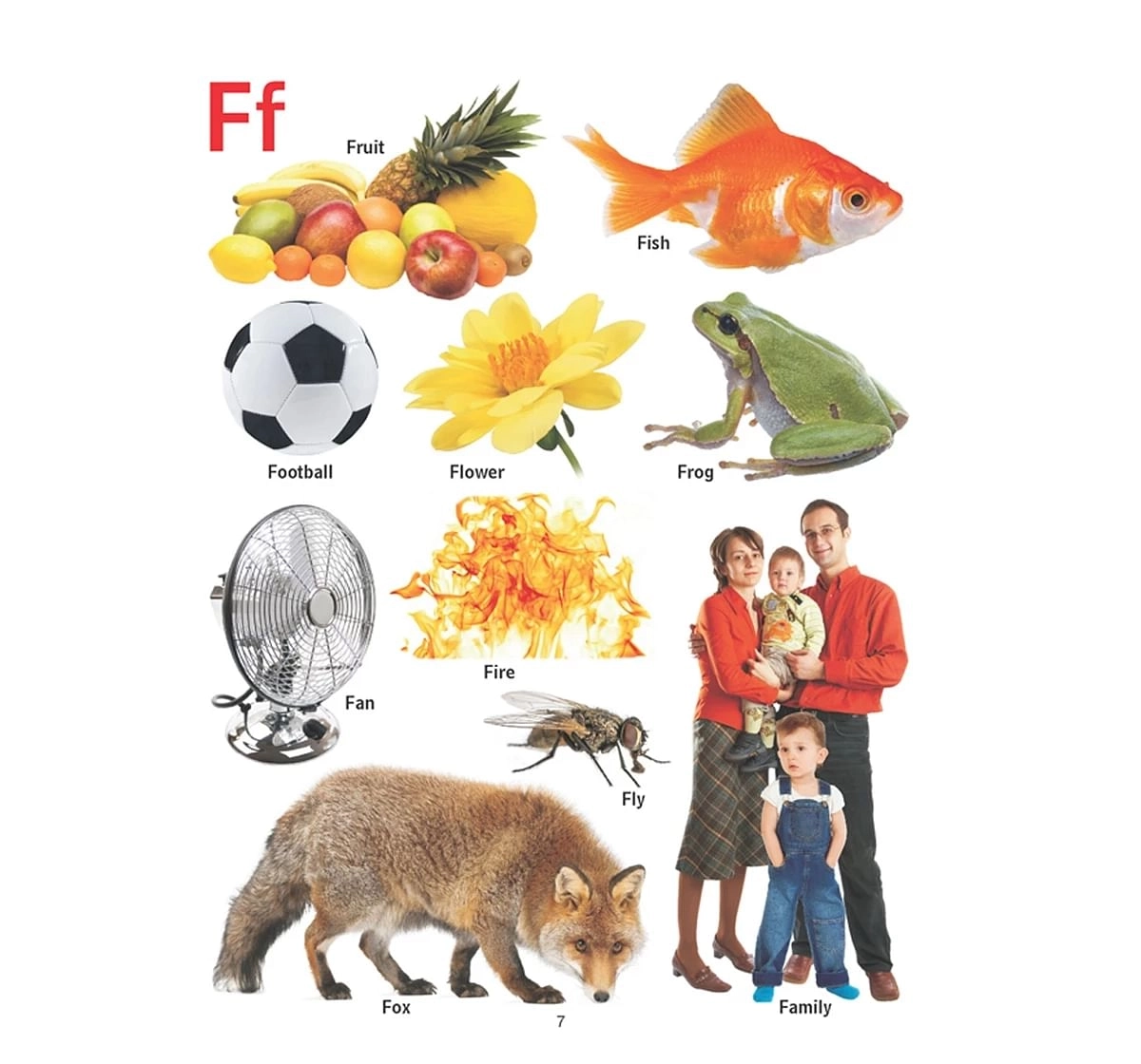 Dreamland Paper Back First Pictorial Dictionary Early Learning Book for kids 2Y+, Multicolour