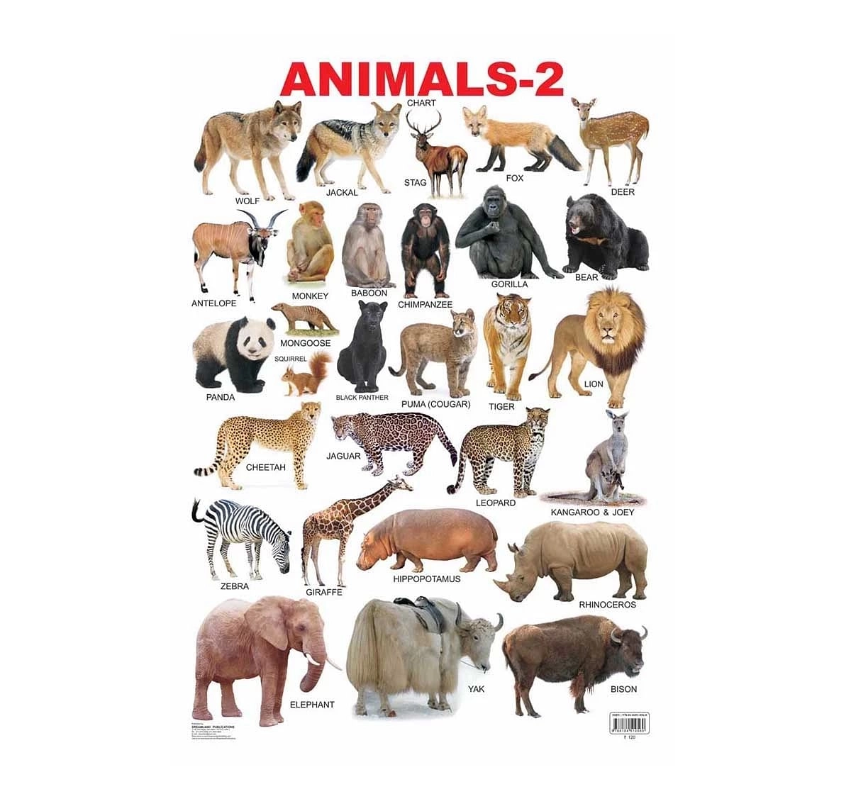 Dreamland Chart Animals Part 2 Book for kids 3Y+, Multicolour