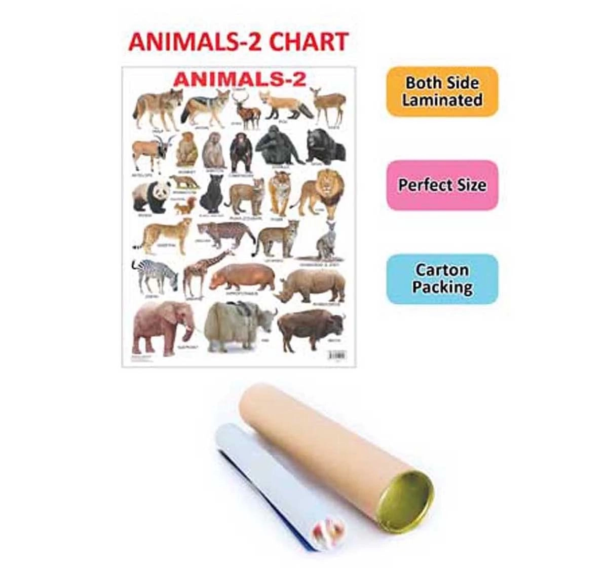 Dreamland Chart Animals Part 2 Book for kids 3Y+, Multicolour