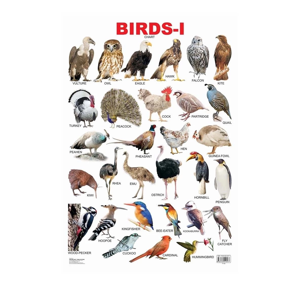 Dreamland Chart Birds Part 1 Book for kids 3Y+, Multicolour
