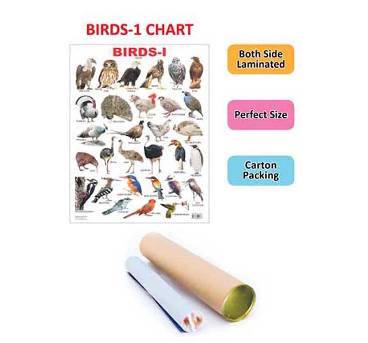 Dreamland Chart Birds Part 1 Book for kids 3Y+, Multicolour