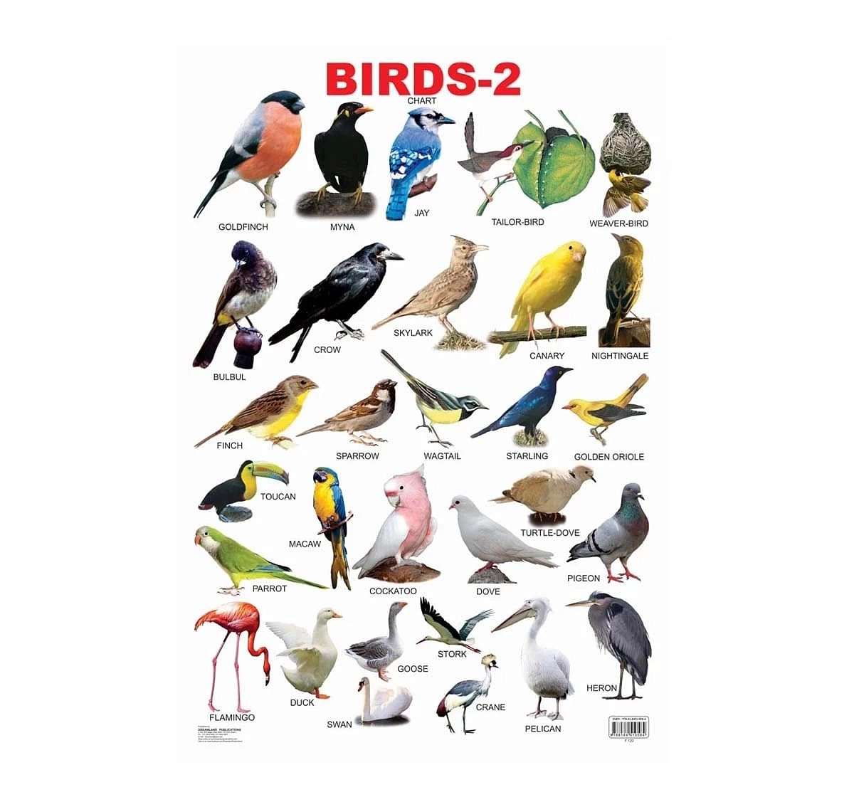 Dreamland Chart Birds Part 2 Book for kids 3Y+, Multicolour