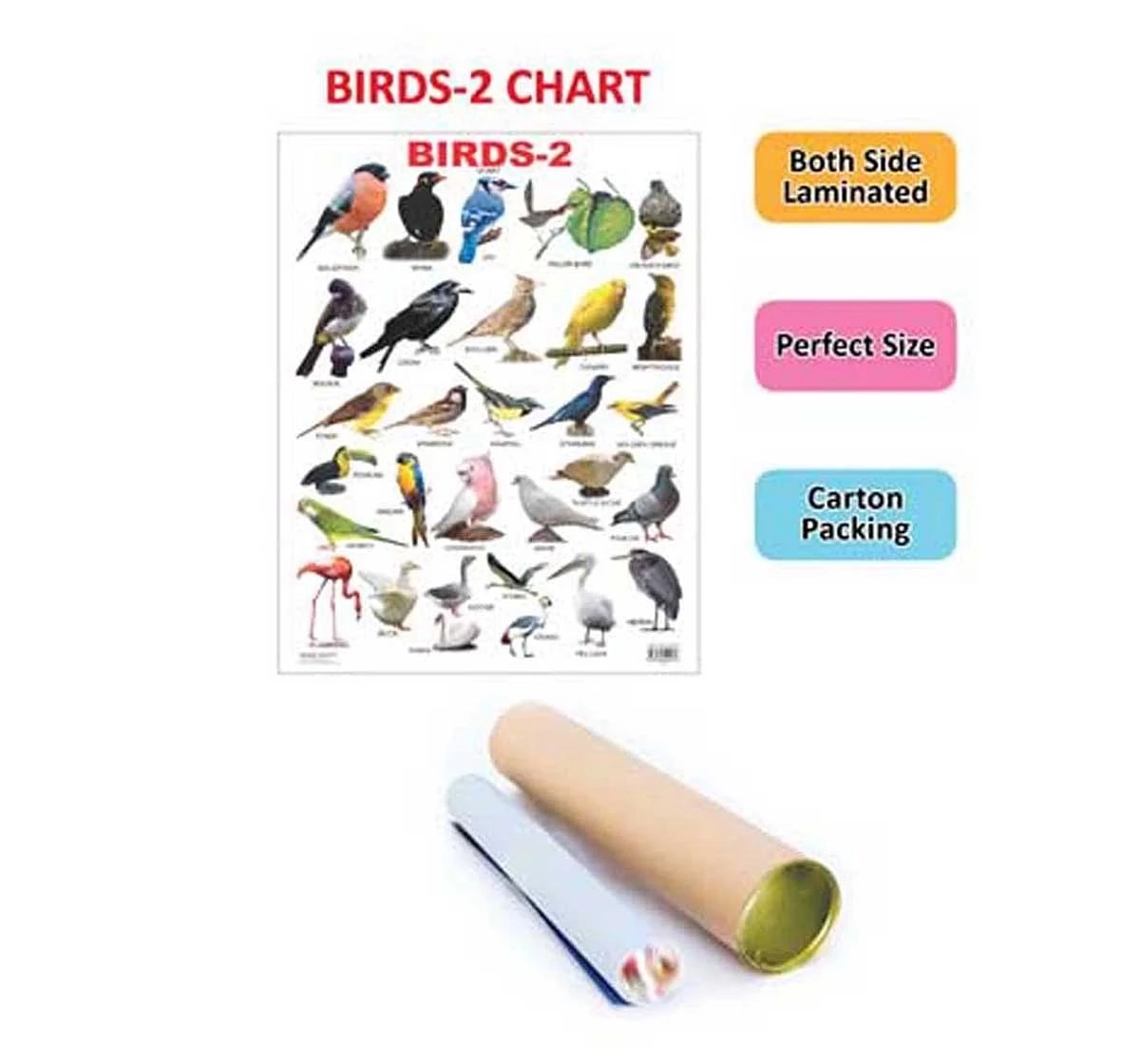 Dreamland Chart Birds Part 2 Book for kids 3Y+, Multicolour