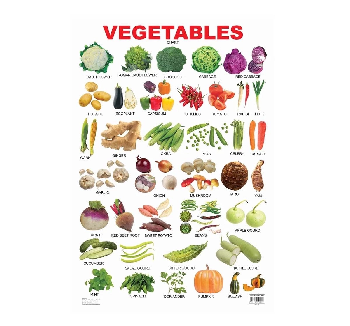 Dreamland Vegetables Educational Chart for kids 3Y+, Multicolour