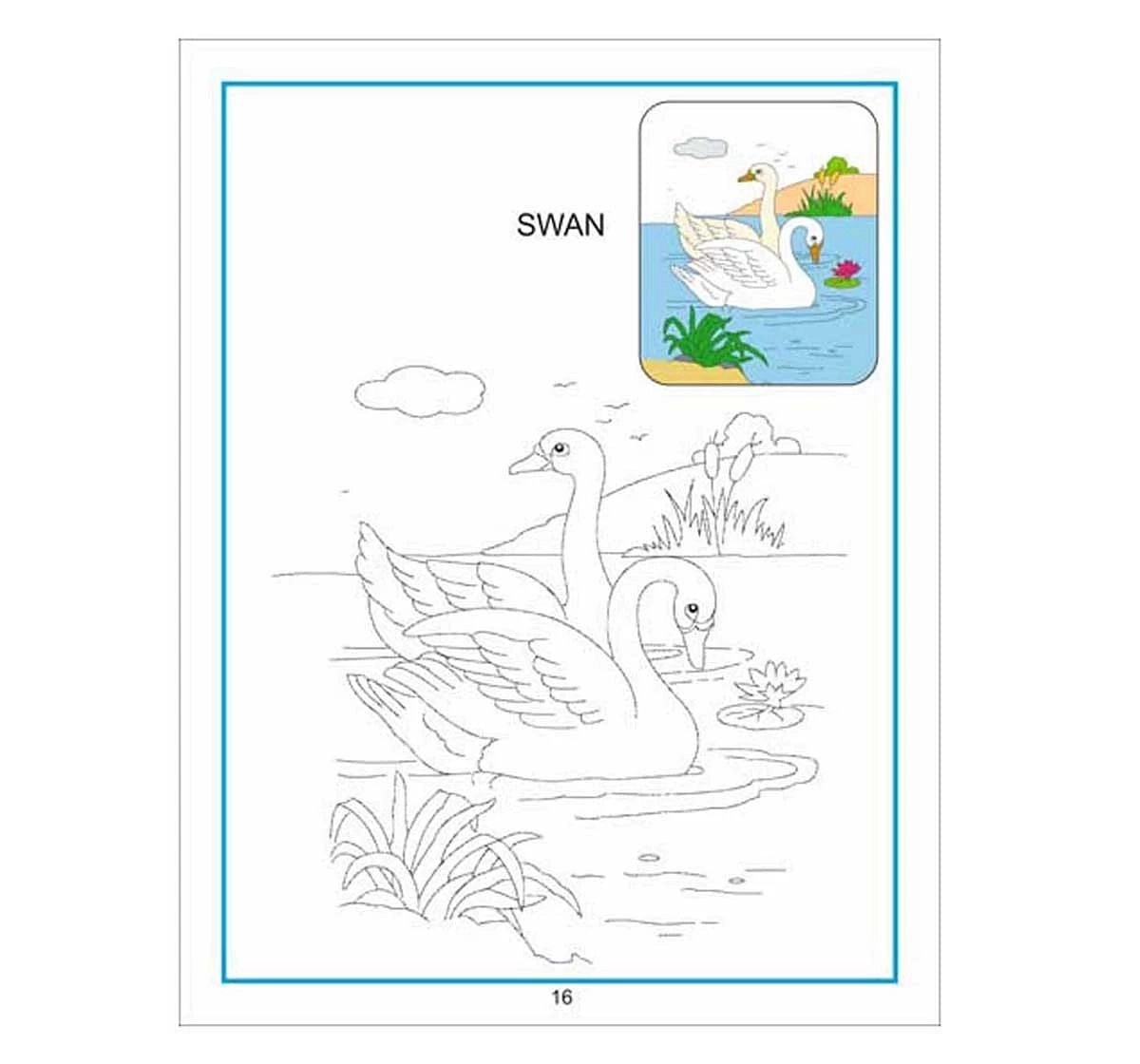 Dreamland Paper Back Creative Colouring Water Animals Book for kids 3Y+, Multicolour