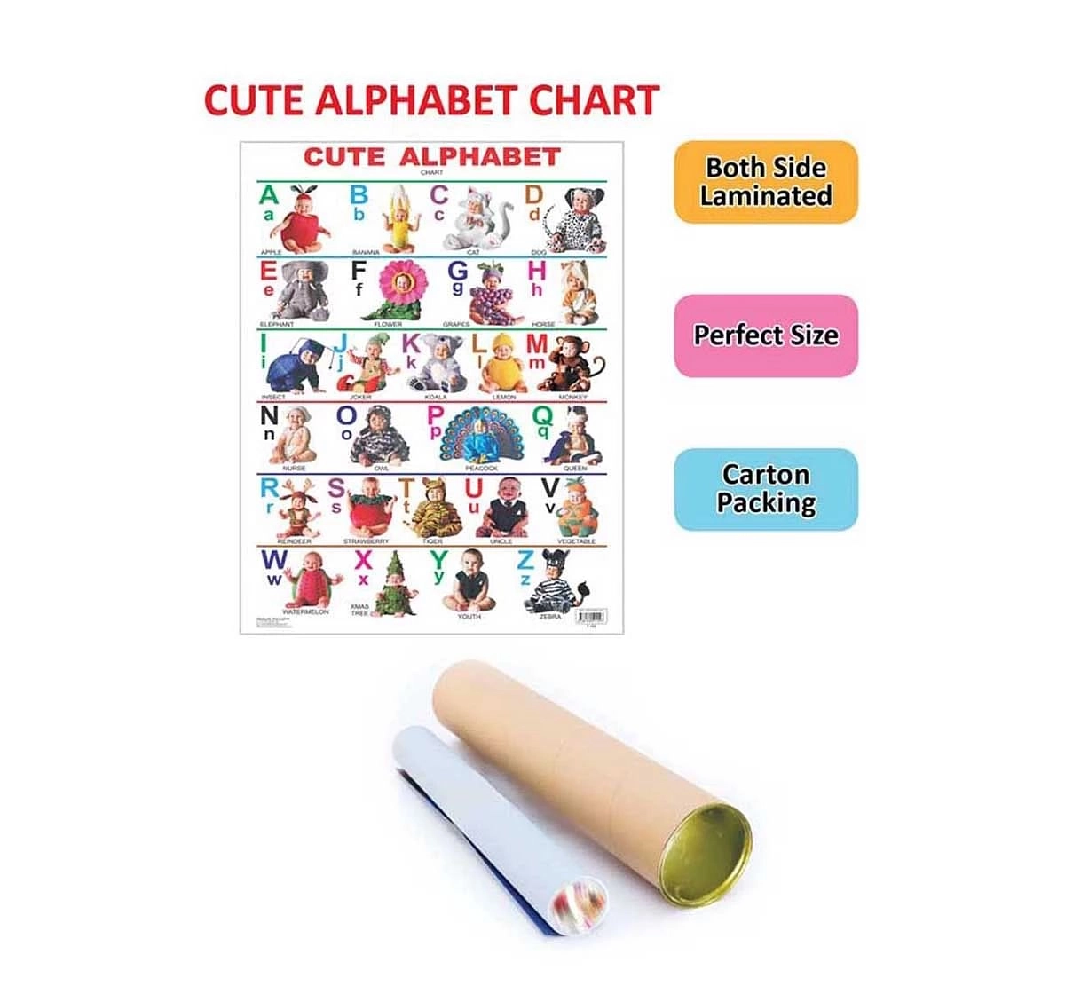 Dreamland Cute Alphabet Chart for kids 3Y+, Multicolour