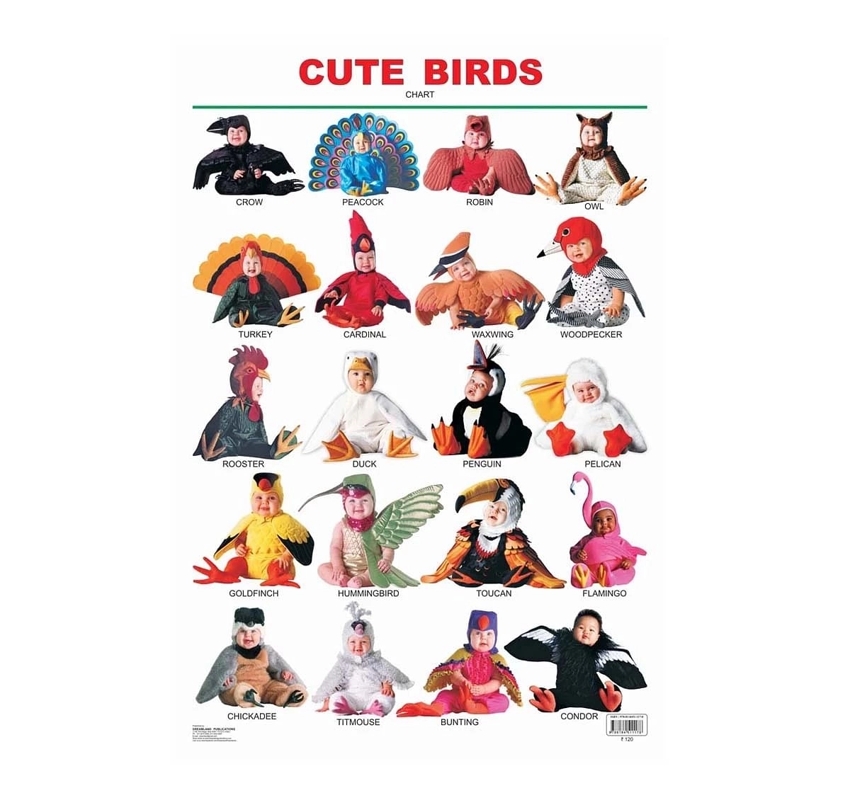 Dreamland Cute Birds Chart for kids 3Y+, Multicolour