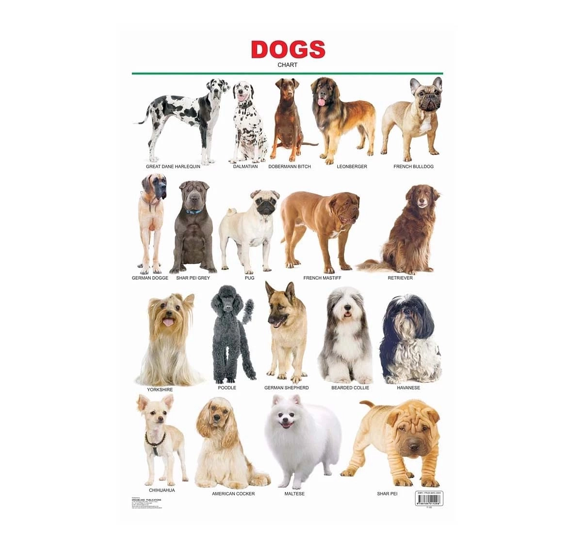 Dreamland Dogs Chart for kids 5Y+, Multicolour