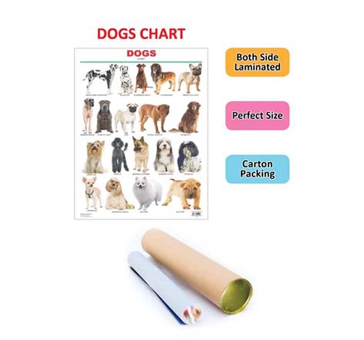Dreamland Dogs Chart for kids 5Y+, Multicolour
