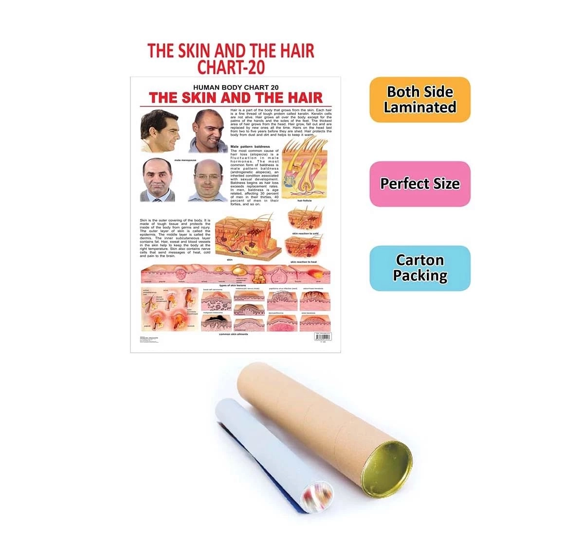 Dreamland the Hair and the Skin Chart for kids 12Y+, Multicolour
