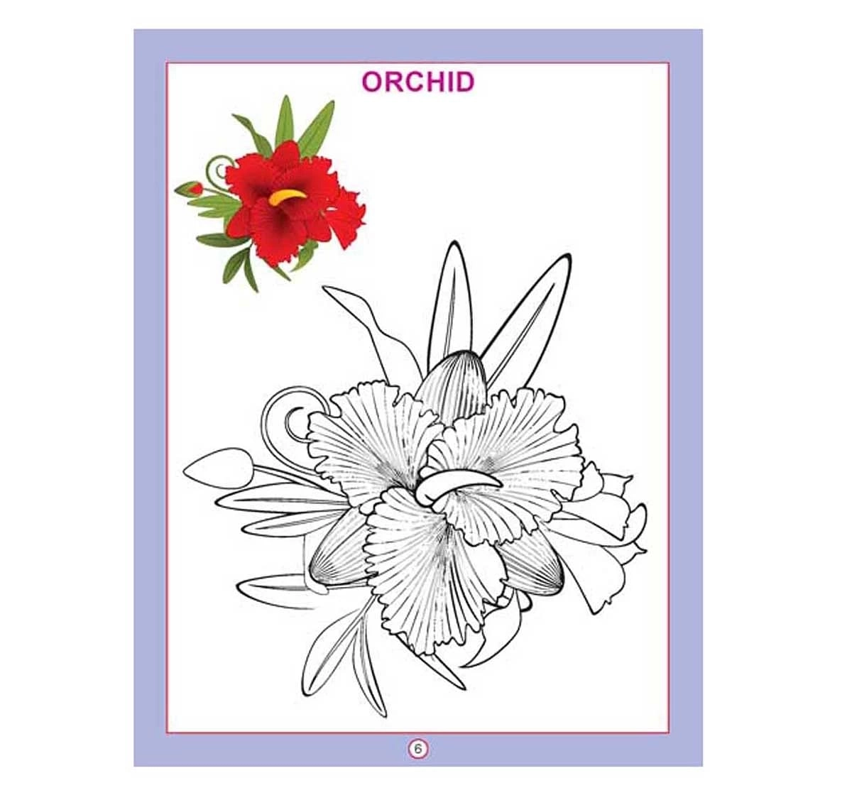 Dreamland Paper Back Colour Flowers Drawing Book for kids 3Y+, Multicolour