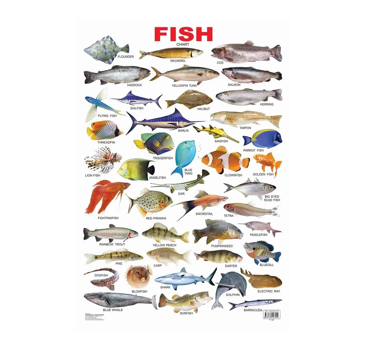 Dreamland Fish Chart for kids 3Y+, Multicolour