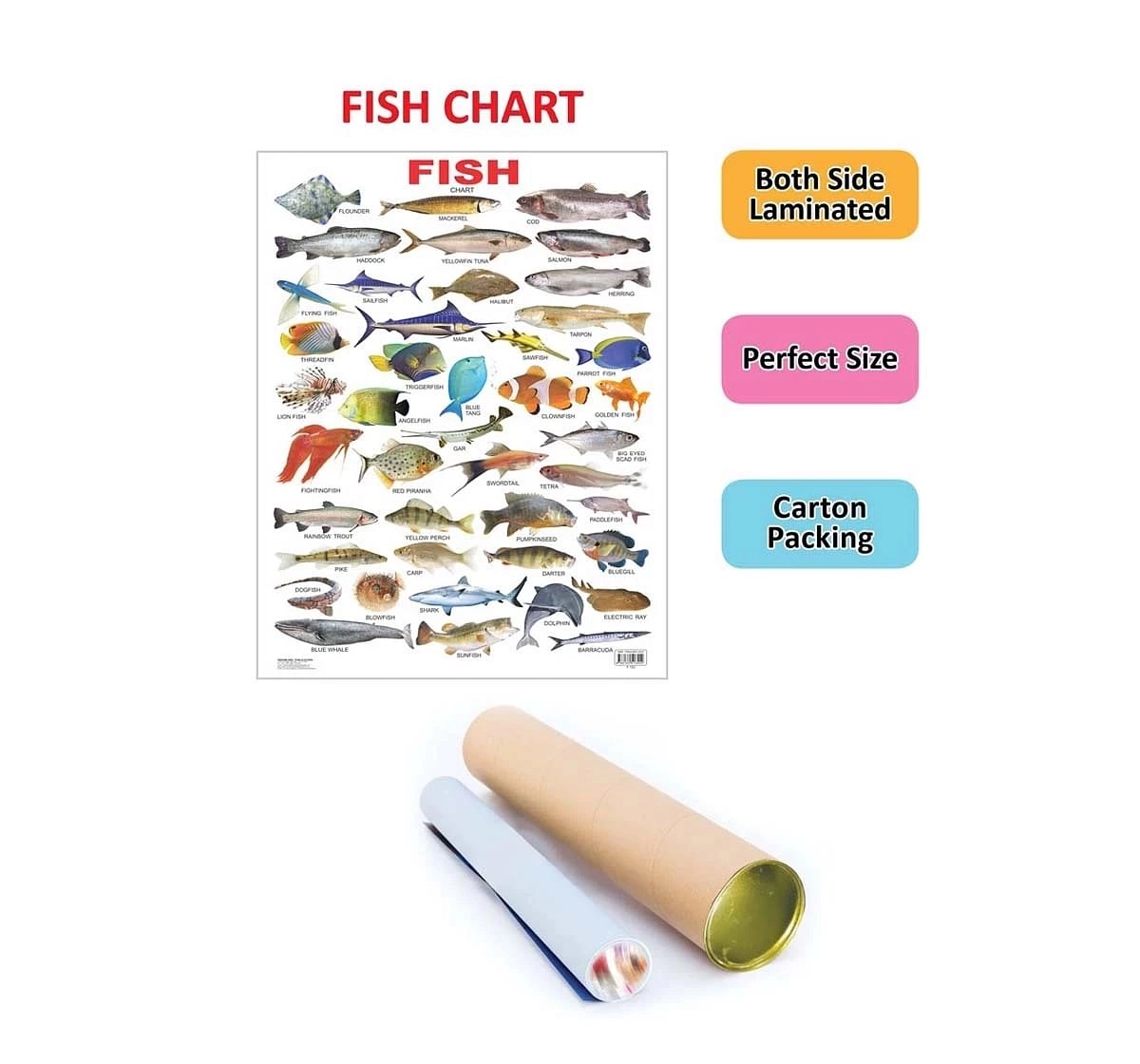 Dreamland Fish Chart for kids 3Y+, Multicolour