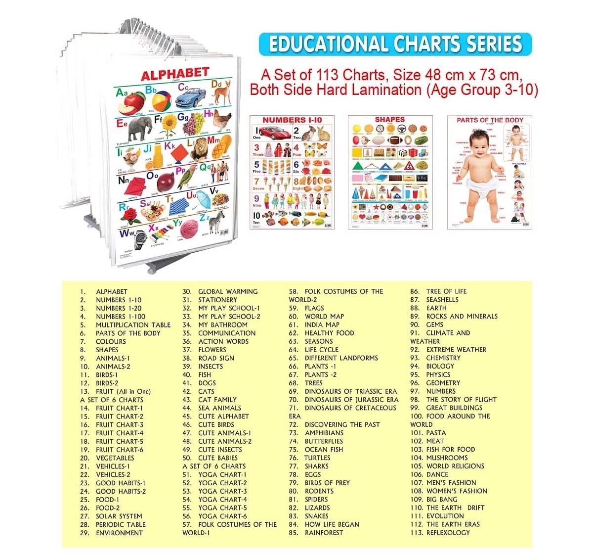 Dreamland Fish Chart for kids 3Y+, Multicolour