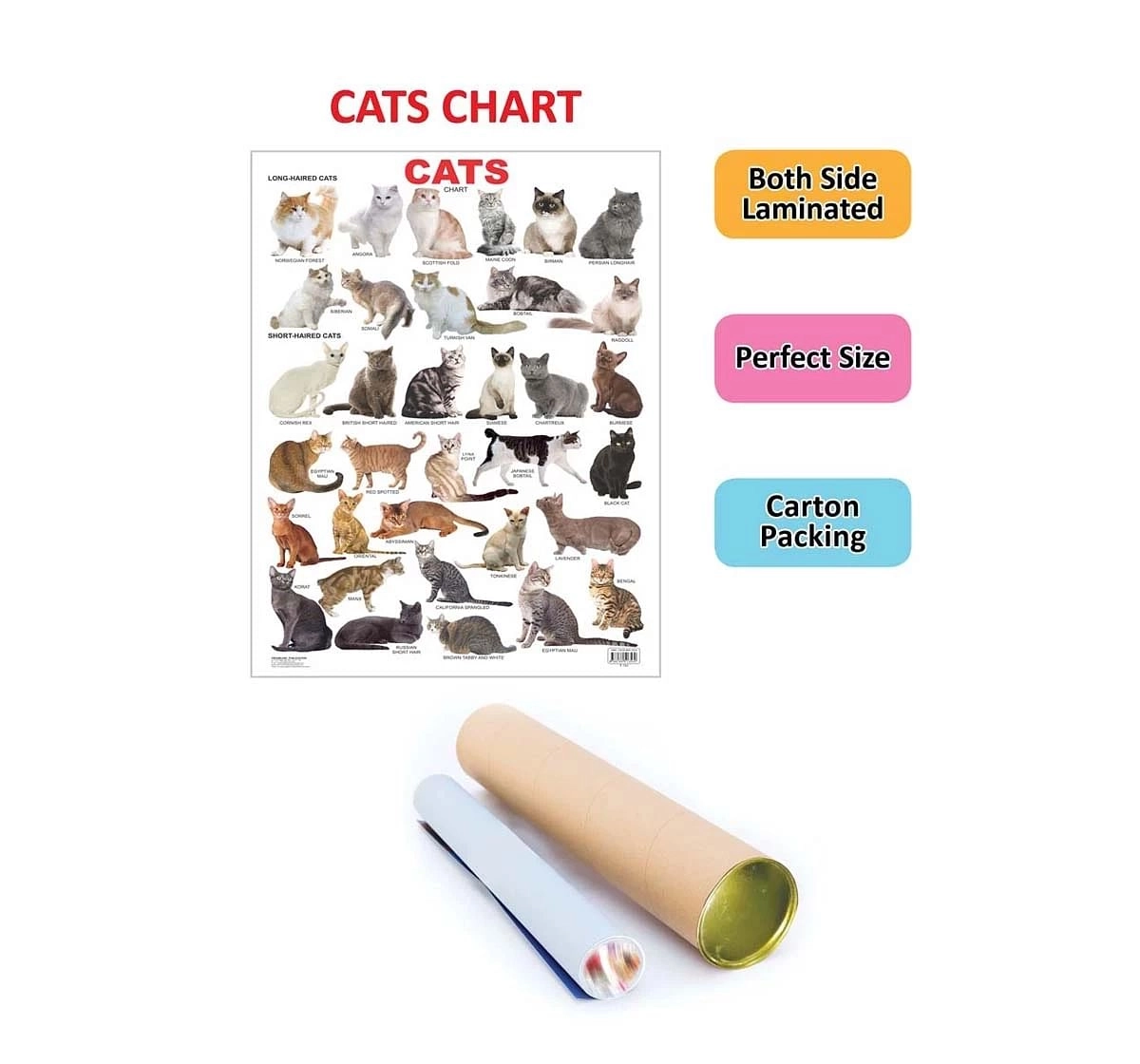 Dreamland Cat Chart for kids 3Y+, Multicolour
