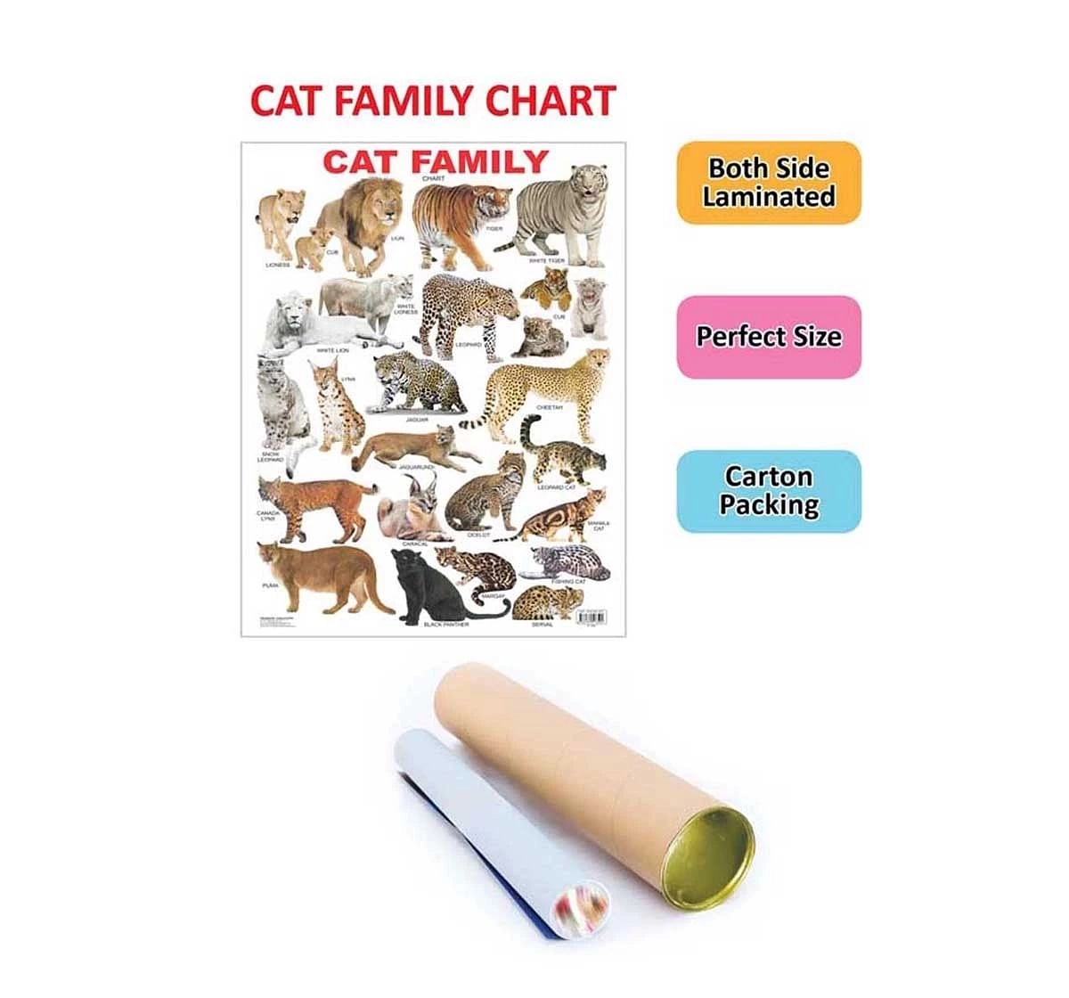 Dreamland Cat Family Chart for kids 3Y+, Multicolour