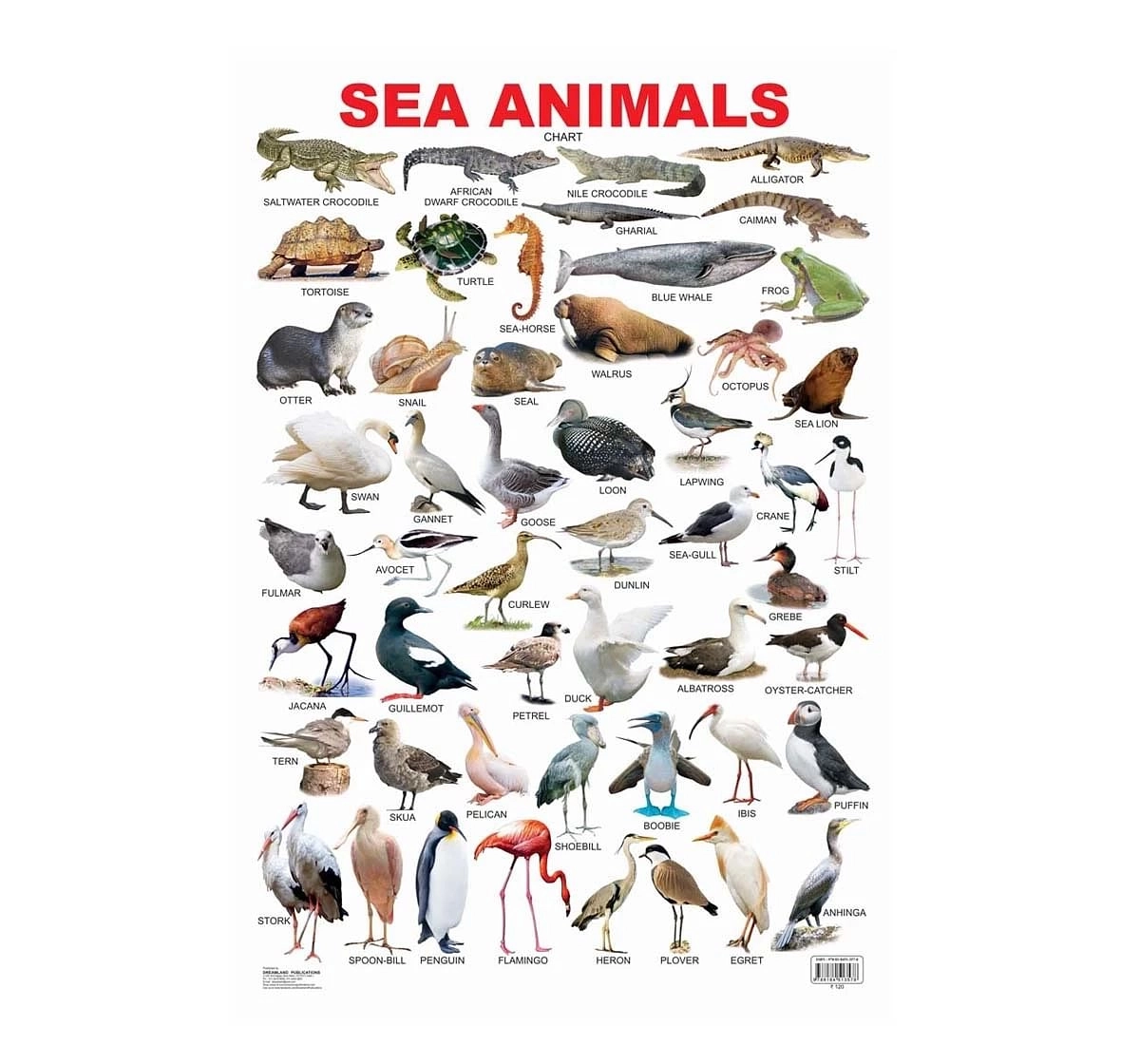 Dreamland Sea Animal Chart for kids 3Y+, Multicolour