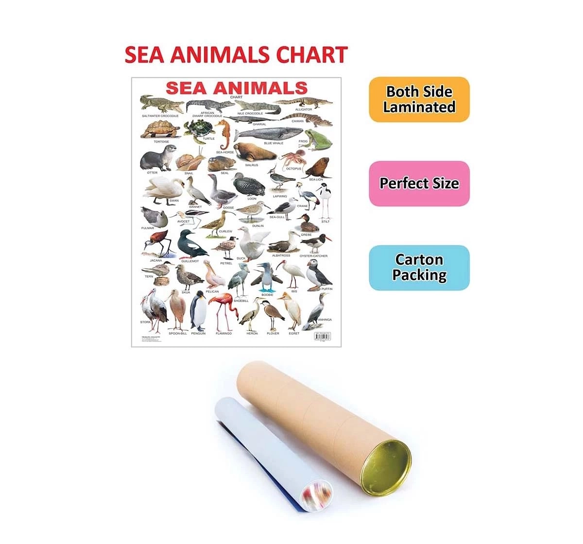 Dreamland Sea Animal Chart for kids 3Y+, Multicolour