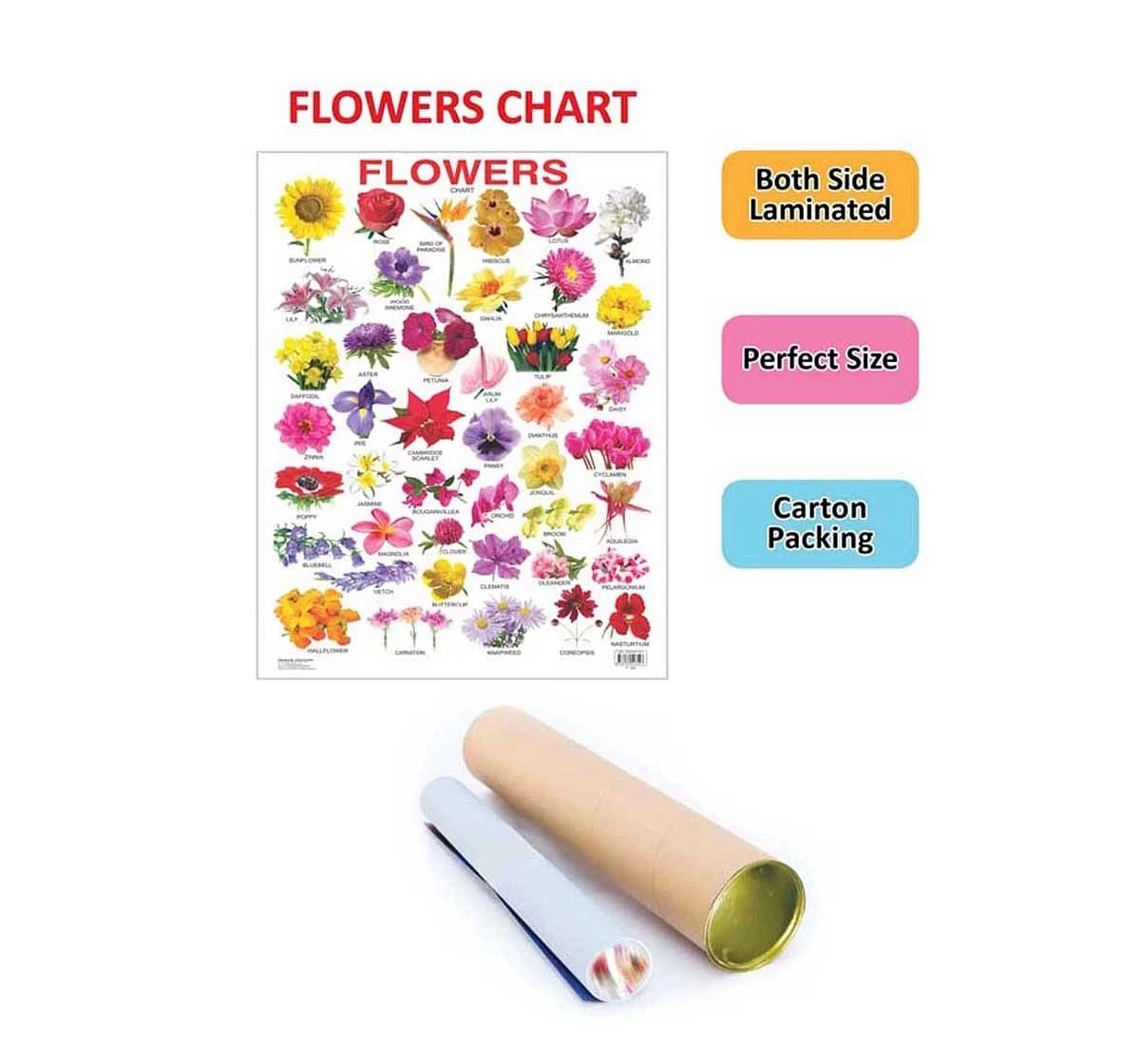 Dreamland Flower Chart for kids 3Y+, Multicolour