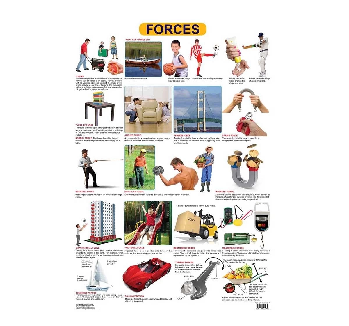 Dreamland Forces Chart for kids 12Y+, Multicolour