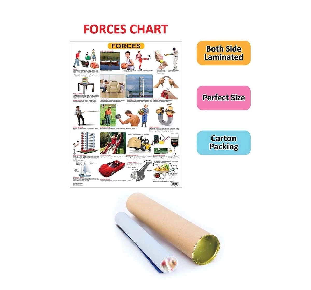Dreamland Forces Chart for kids 12Y+, Multicolour