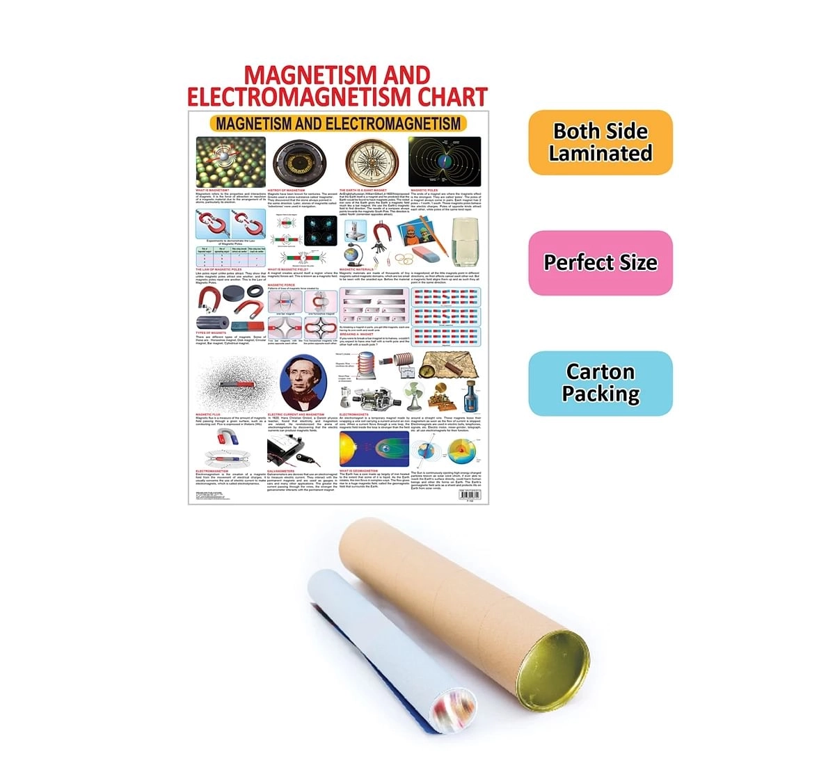 Dreamland Magnetism and Electromagnetism Chart for kids 12Y+, Multicolour