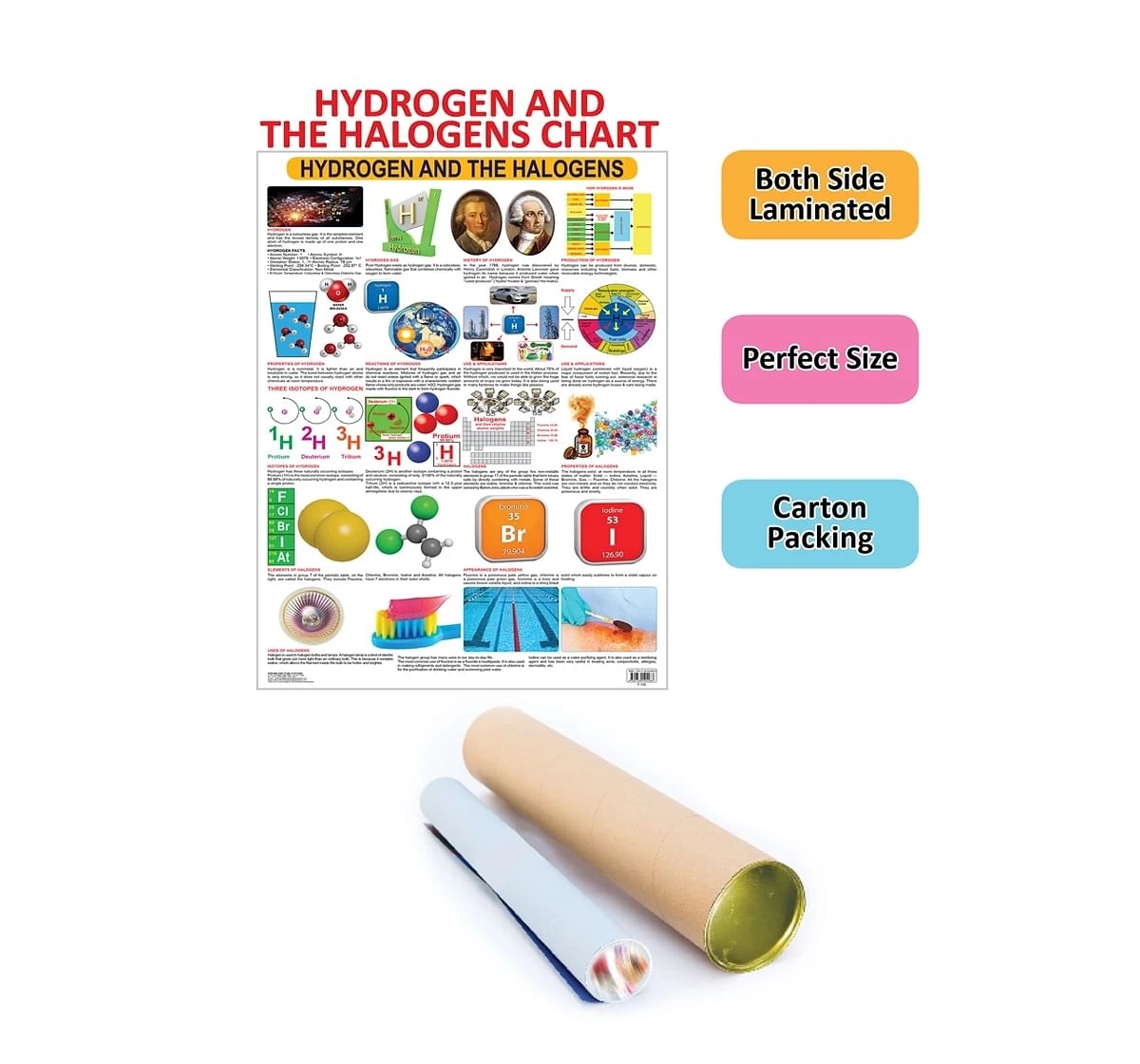 Dreamland Hydrogen and the Halogens Chart for kids 12Y+, Multicolour