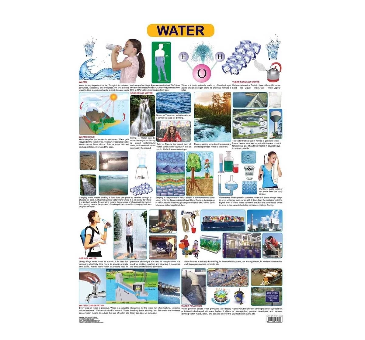 Dreamland Water Chart for kids 12Y+, Multicolour