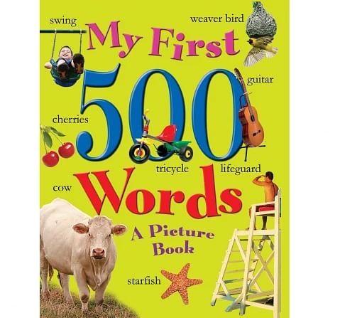 Sterling Horizons My First 500 Words Picture Multicolour 3Y+