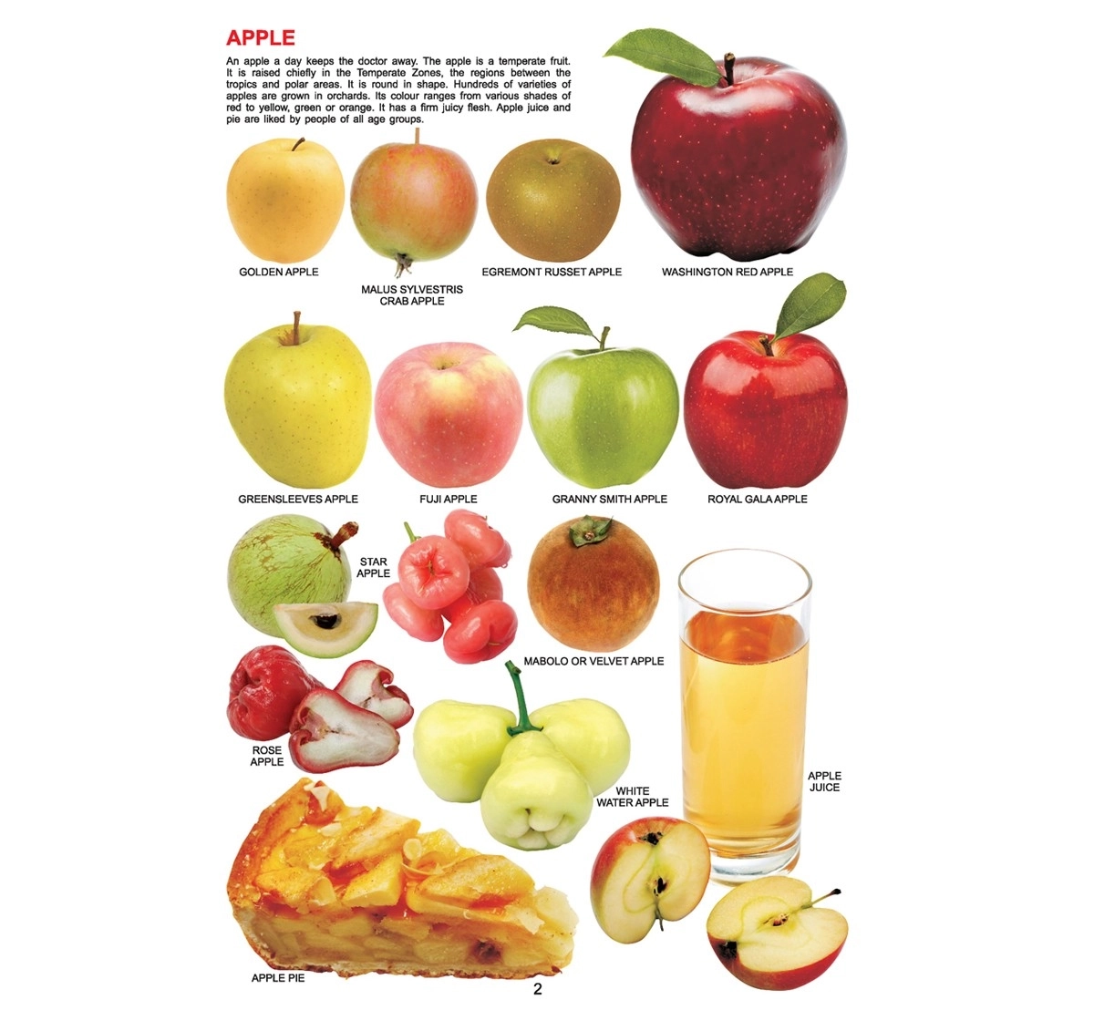 Dreamland Paperback My Jumbo Fruit Books for Kids 3Y+, Multicolour