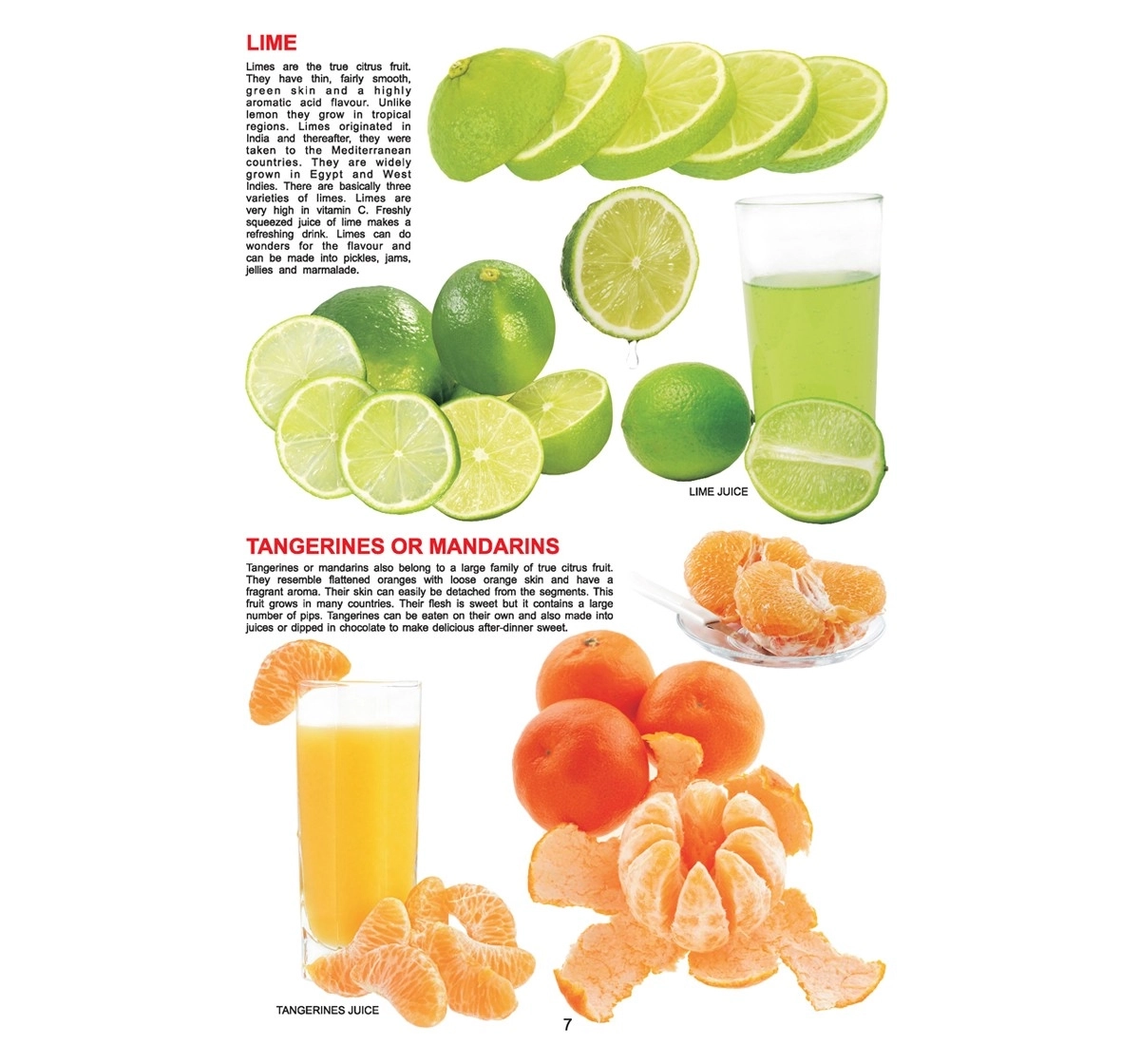 Dreamland Paperback My Jumbo Fruit Books for Kids 3Y+, Multicolour