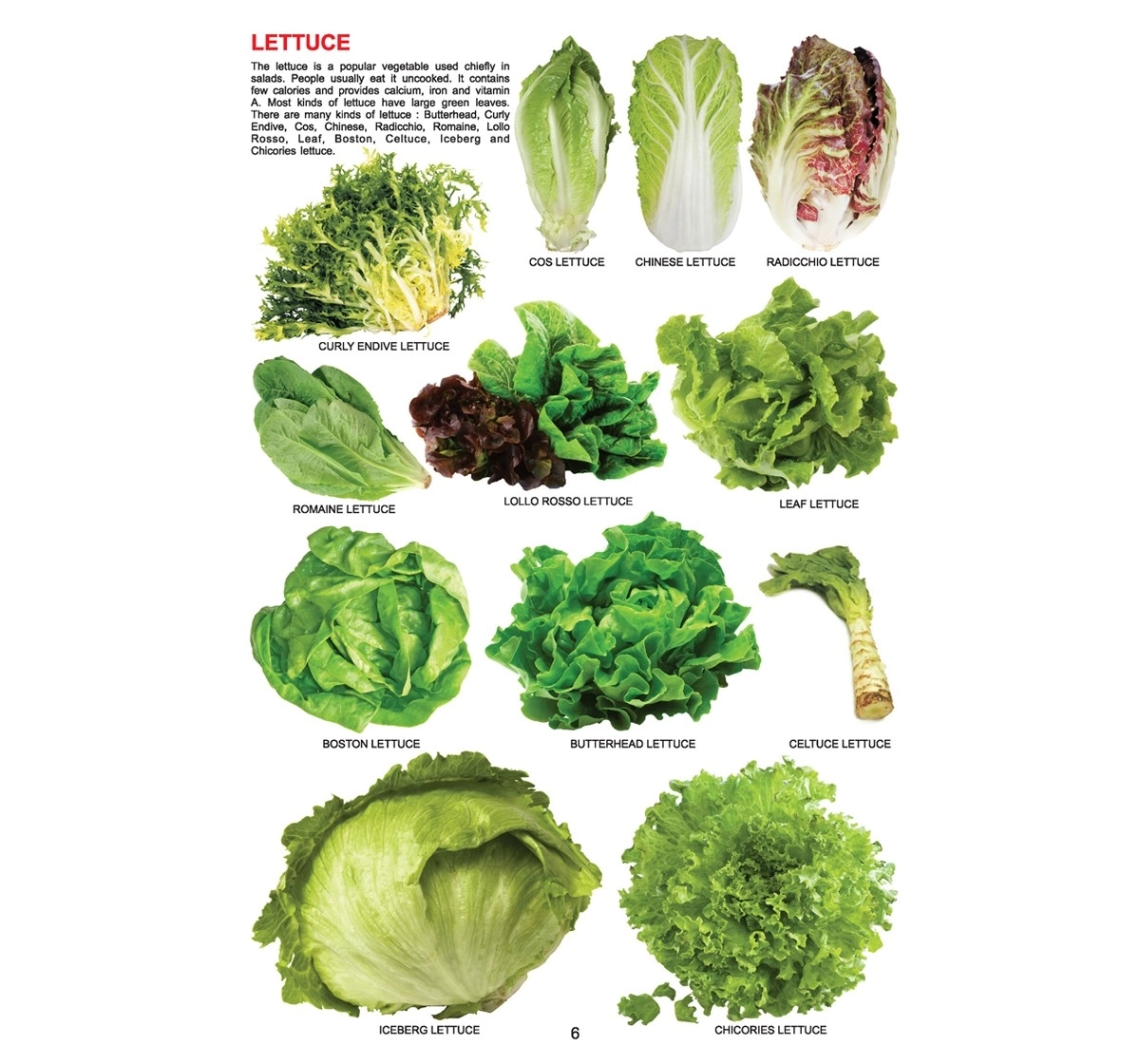 Dreamland Paperback My Jumbo Vegetable Books for Kids 3Y+, Multicolour