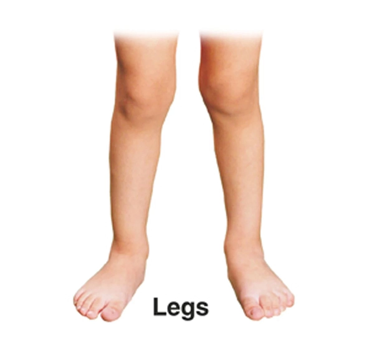 Dreamland First Padded Early Learning My Body Book for kids 0M+, Multicolour