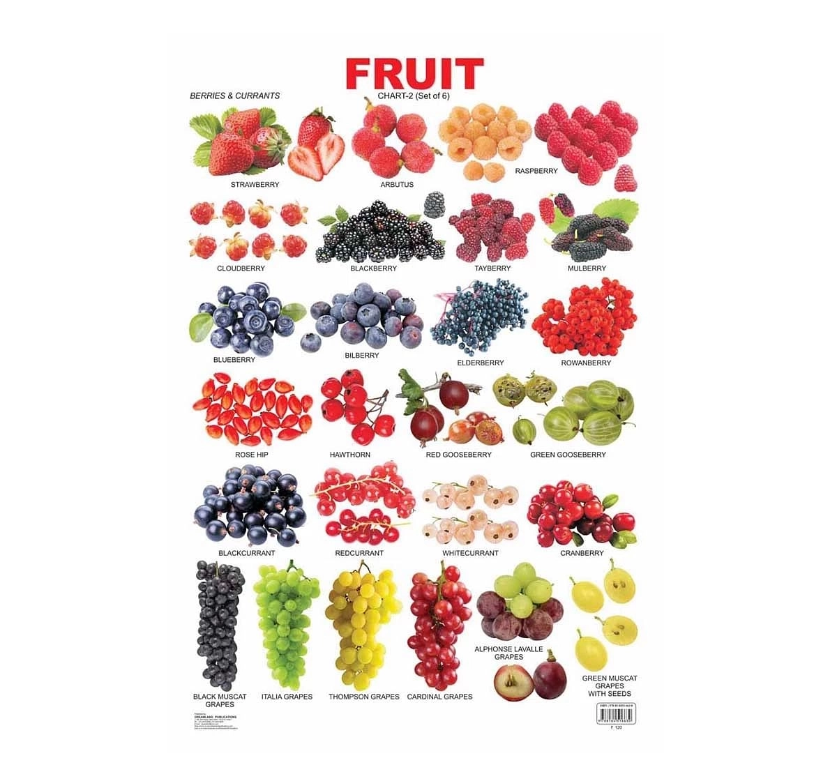 Dreamland Chart Fruit Chart Part 2 Book for kids 3Y+, Multicolour