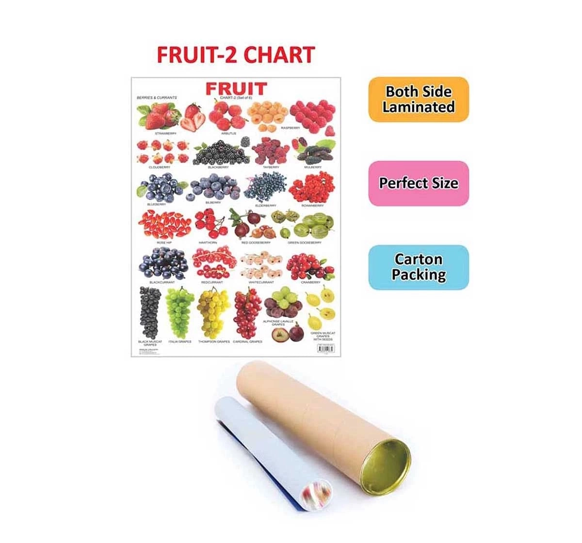 Dreamland Chart Fruit Chart Part 2 Book for kids 3Y+, Multicolour