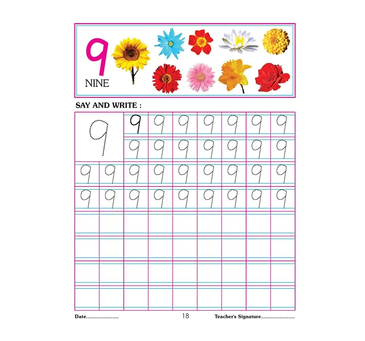 Dreamland Paper Back Number Writing Book 1 To 50 for kids 3Y+, Multicolour