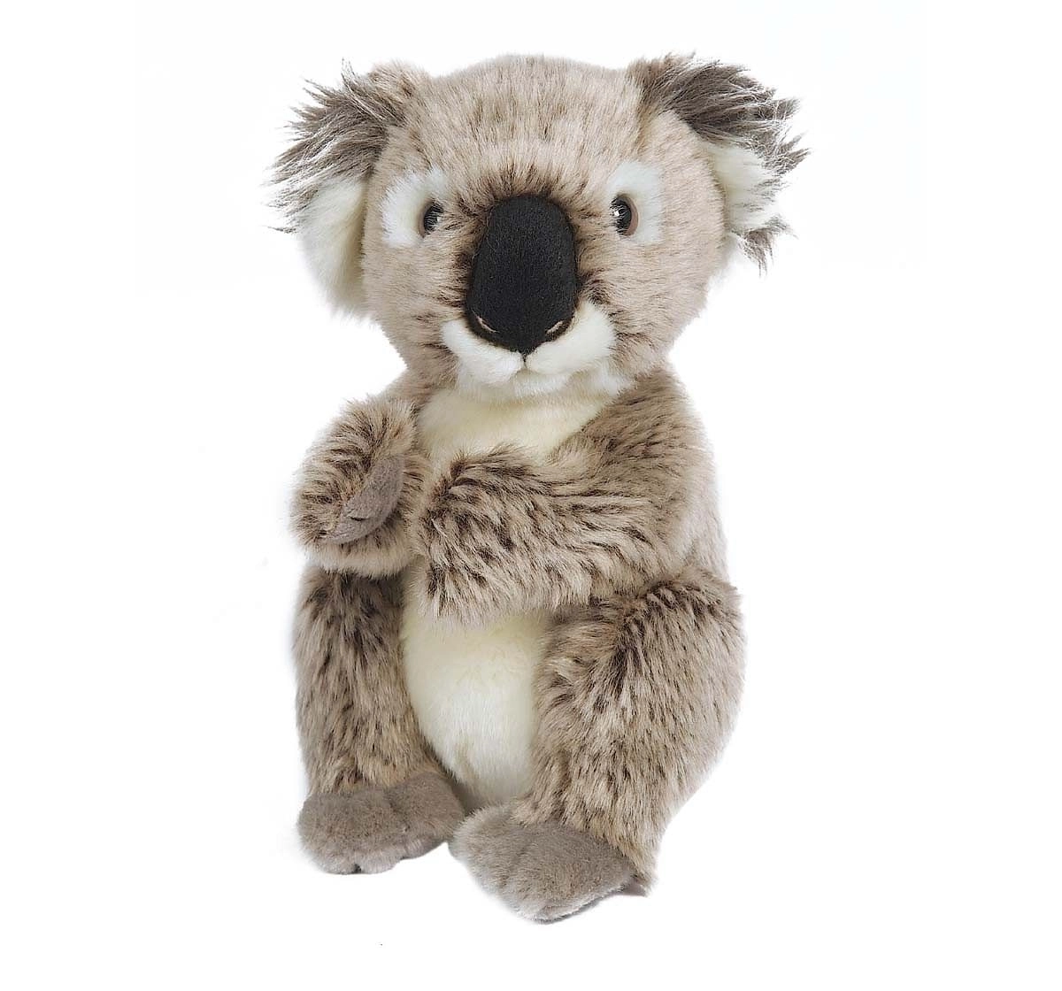 Hamleys Gray Baby Koala Soft Toy Animals & Birds for Kids age 0M+ 12 Cm