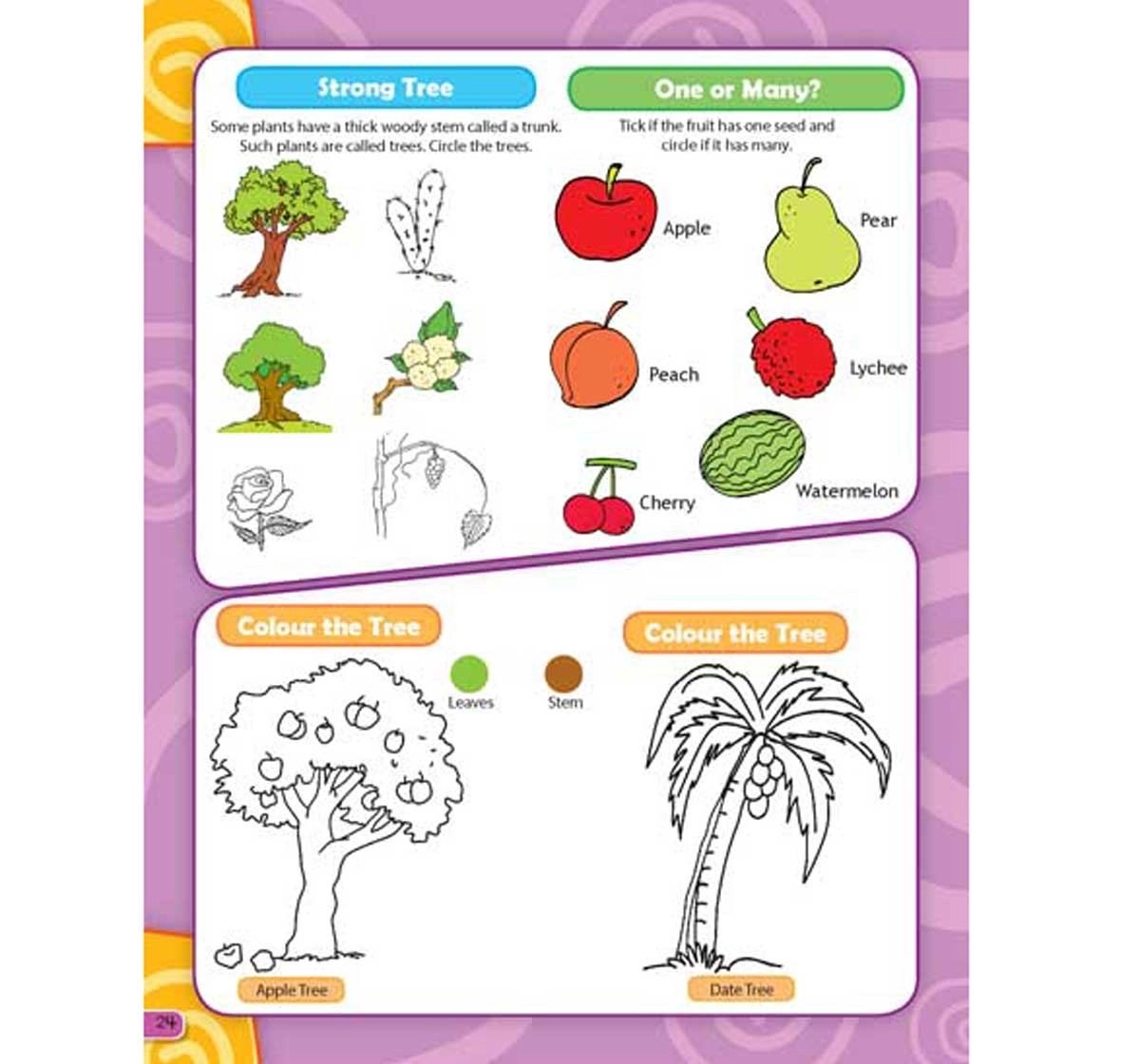 Dreamland Paperback 365 Science Activity Book for Kids 6Y+, Multicolour
