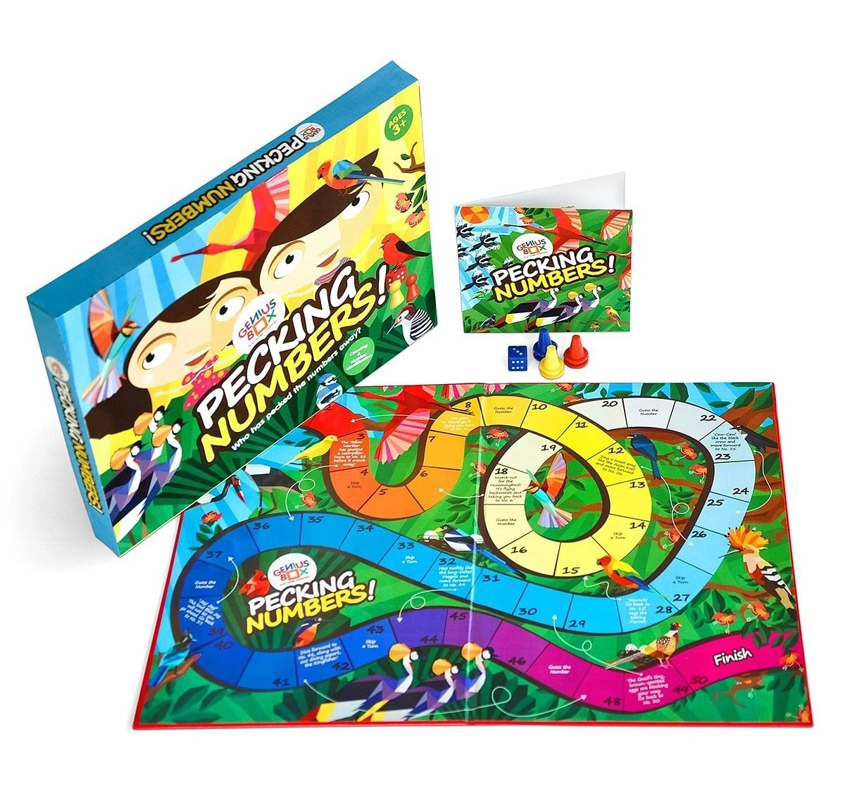 Genius Box - Play Some Learning Toys For Kids : Feathered Friends Diy Activity Kit | Educational Toy | Learning Kit | Educational Kit | Stem